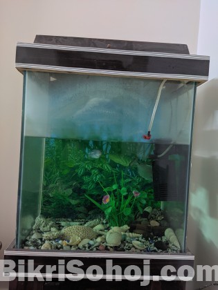 Aquarium for sell